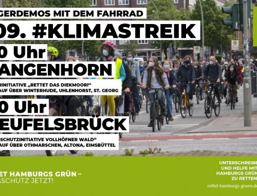 Aktion: Wir sind beim Fridays for Future Klimastreik in Hamburg dabei!